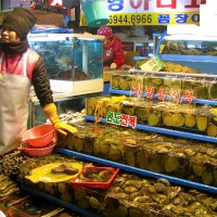 Somewhere near the dark blue line of Noriangjin station is one of Seoul’s massive fish markets. This 66,000 square meter facility houses over 700 shops selling fresh and dried fish and squid from 15 fishing ports around Korea. It also includes numerous restaurants, an auction floor, and an adjacent agricultural section. It will open your eyes to an aspect of Korean culture that can only […]